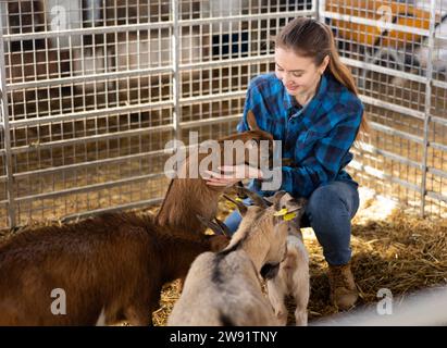 Bäuerin füttert und spielt mit Ziegenlingen Stockfoto