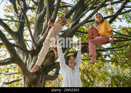 Glückliche Mutter spielt mit Sohn und Tochter, die auf einem Baum im Park sitzen Stockfoto