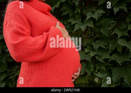Schwangere Frau mit rotem Pullover und berührendem Magen vor Pflanzen Stockfoto