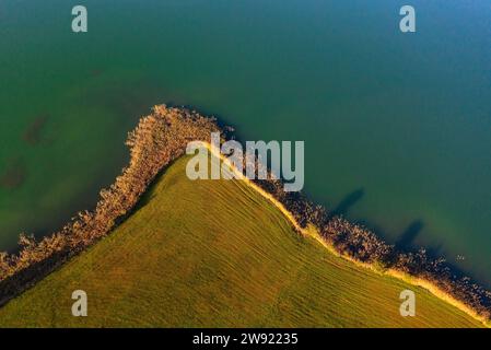 Österreich, Oberösterreich, Zell am Moos, gemähtes Feld am Ufer des Irrsees Stockfoto