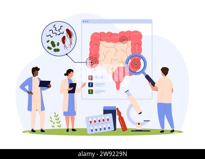 Darmgesundheit, Mikrobiomforschung und Diagnose Vektorillustration. Karikatur-Kleinkinder kontrollieren Entzündungen im Dickdarm mit Lupe, schlechter Flora und schädlichen Bakterien im Verdauungstrakt Stock Vektor