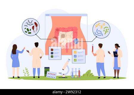 Schlechte und gute Bakterien im menschlichen Darm, Infografik-Vektorillustration. Karikatur winzige Leute überprüfen das Magen-Darm-System auf der Anatomiekarte, DIS Stock Vektor