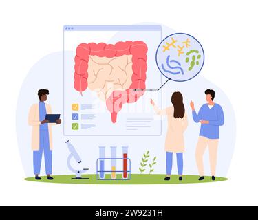 Darmgesundheit, gesunde Mikrobiom Forschung Vektor Illustration. Cartoon Tiny People überprüfen Zusammensetzung und Arten von probiotischen Bakterien für Verdauungsgesundheit, medizinische Magen-Darm-Infografiken Stock Vektor