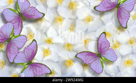 Natürlicher Pastellhintergrund. Zarte rosafarbene tropische Morpho-Schmetterlinge auf Jasminblüten Stockfoto