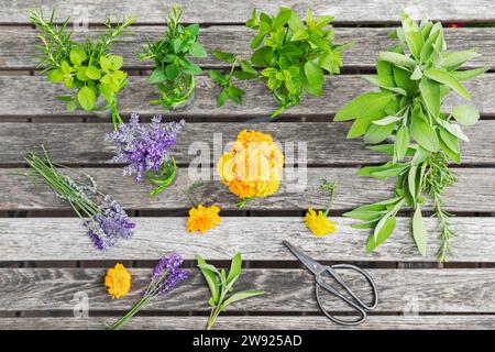 Kräuter und essbare Blumen auf Holztisch Stockfoto