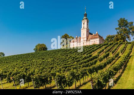 Deutschland, Baden-Württemberg, Birnau, Grüner Weinberg vor der Wallfahrtskirche Birnau Stockfoto