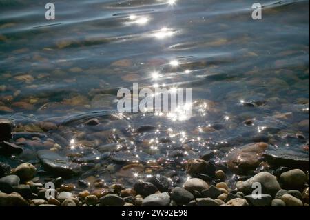 Elbwasser, die Wasserqualität der Elbe hat sich in den letzten Jahren deutlich verbessert Stockfoto