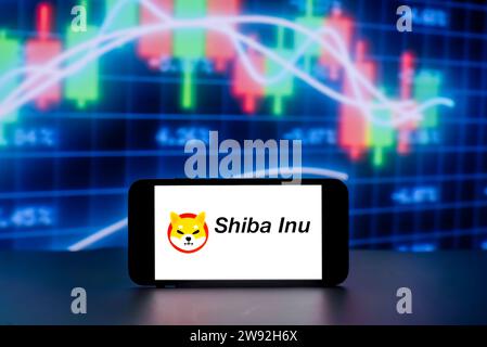 Indien. Dezember 2023. In dieser Fotoabbildung wird das Shiba Inu Logo auf einem Handy-Bildschirm mit Aktienmarktanteilen im Hintergrund angezeigt. (Credit Image: © Idrees Abbas/SOPA Images via ZUMA Press Wire) NUR REDAKTIONELLE VERWENDUNG! Nicht für kommerzielle ZWECKE! Stockfoto