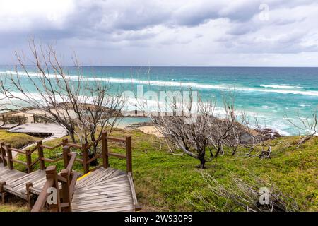 Fraser Island K'gari und Boardwalk hinunter zu den Champagnerpools am 75 Mile Beach, Queensland, Australien, 2023 Stockfoto