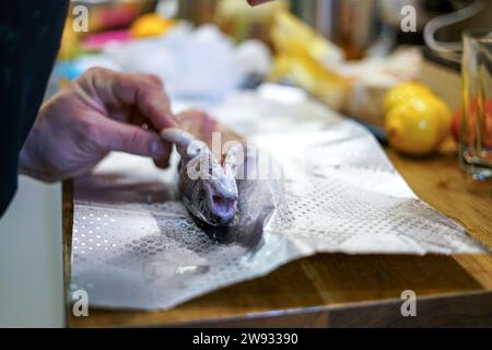 Frische Forelle mit Zitronenscheiben, Orangen, Butter und Dill. Stockfoto