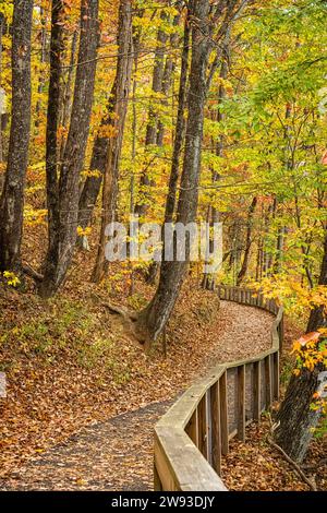 Wasserfall-Zugangsweg mit farbenfrohen Herbstlaub an den Amicalola Falls in Dawsonville, Georgia. (USA) Stockfoto