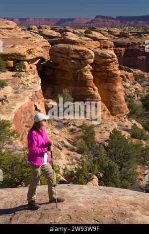 Frühling Canyon Ansicht Slickrock Fuß Weg, Canyonlands National Park, Utah. Stockfoto