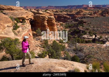 Frühling Canyon Ansicht Slickrock Fuß Weg, Canyonlands National Park, Utah. Stockfoto