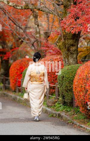 Japanische Kimono-Frauen Porträtfotografie. Ahornblätter färben sich im Herbst auf dem Kyoto Philosopher's Path (Tetsugaku No Michi) rot. Stockfoto