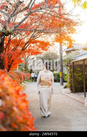 Japanische Kimono-Frauen Porträtfotografie. Ahornblätter färben sich im Herbst auf dem Kyoto Philosopher's Path (Tetsugaku No Michi) rot. Stockfoto