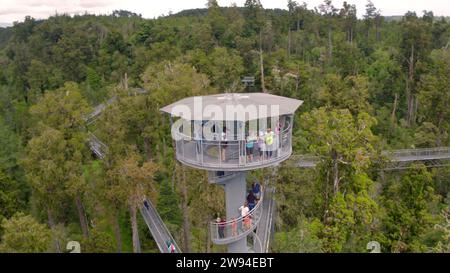 West Coast Tree Top Walk und Tower Zipline Aktivität an der Westküste Neuseelands Stockfoto