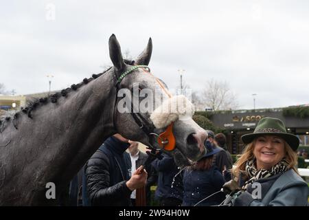 Ascot, Berkshire, 23. Dezember 2023. Horse Top Cloud (Nr. 9), geritten von Jockey Liam Harrison, Gewinner der Ascot Racecourse, unterstützt Schools Photography Competition Novices' Handicap Hürdle Race am zweiten Tag des Howden Christmas Racing Weekend auf der Ascot Racecourse. Besitzer Auf Dem Gallops - Top Cloud. Trainer Robbie Llewellyn, Swindon. Breeder Wood Farm Stud. Quelle: Maureen McLean/Alamy Live News Stockfoto