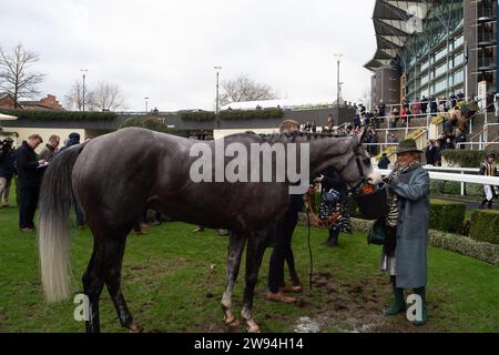 Ascot, Berkshire, 23. Dezember 2023. Horse Top Cloud (Nr. 9), geritten von Jockey Liam Harrison, Gewinner der Ascot Racecourse, unterstützt Schools Photography Competition Novices' Handicap Hürdle Race am zweiten Tag des Howden Christmas Racing Weekend auf der Ascot Racecourse. Besitzer Auf Dem Gallops - Top Cloud. Trainer Robbie Llewellyn, Swindon. Breeder Wood Farm Stud. Quelle: Maureen McLean/Alamy Live News Stockfoto