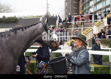 Ascot, Berkshire, 23. Dezember 2023. Horse Top Cloud (Nr. 9), geritten von Jockey Liam Harrison, Gewinner der Ascot Racecourse, unterstützt Schools Photography Competition Novices' Handicap Hürdle Race am zweiten Tag des Howden Christmas Racing Weekend auf der Ascot Racecourse. Besitzer Auf Dem Gallops - Top Cloud. Trainer Robbie Llewellyn, Swindon. Breeder Wood Farm Stud. Quelle: Maureen McLean/Alamy Live News Stockfoto