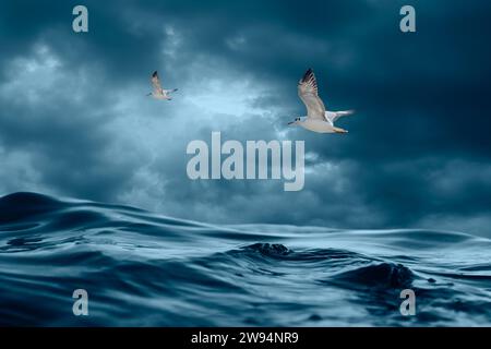 Blick auf die Meereswellen und ein paar Möwen, die überfliegen Stockfoto