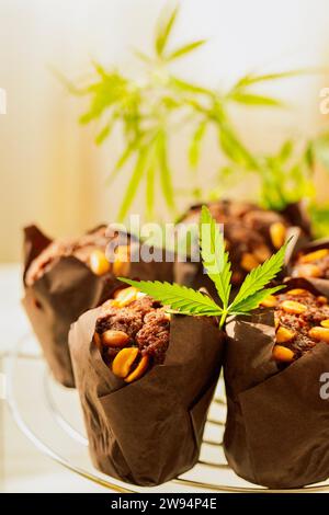 Schokoladen-Muffins mit Cannabisblättern drauf. Frische, leckere Bäckerei mit Hanf. Köstliche Cupcakes mit Erdnüssen und Kräutern. Stockfoto