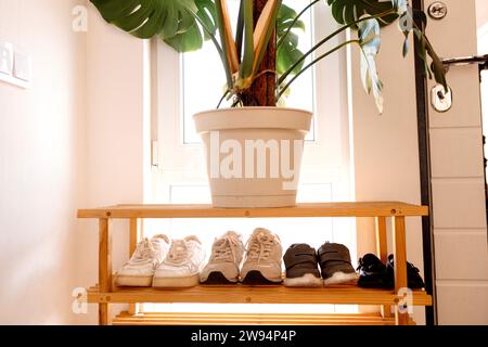 Family shoes lined up on a wooden shelf near the front door. Sneakers of different family members and a large monstera plant in a pot. A simple and co Stockfoto