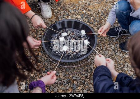 Familie oder Freunde in warmen Kleidern sitzen draußen am brennenden Lagerfeuer, rösten auf Stöcken und plaudern, zugeschnittenes Foto. Angenehme Vergangenheit Stockfoto