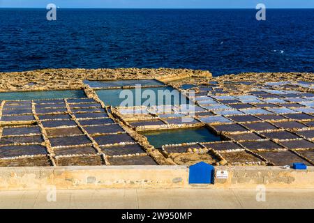 Salinen auf Gozo in der Bucht von Xwejni. Der erste Nachweis von Salzpfannen, die aus Sandstein gemeißelt wurden, geht auf die römische Zeit zurück. Leli Tal-Melh Salzladen in Xwejni in der Nähe von Marsalforn, Gozo, Malta Stockfoto