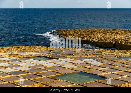 Bucht von Xwejni an der Nordküste von Gozo, wo die Familie Cini seit fünf Generationen Salz sammelt. Die Salinen erstrecken sich entlang der Küste, wo Meerwasser, Wind und Sonne die Bucht zu einem idealen Ort für die Salzgewinnung aus dem Mittelmeer machen. Leli Tal-Melh Salzladen in Xwejni in der Nähe von Marsalforn, Gozo, Malta Stockfoto