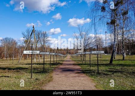 Ein sonniger Tagesblick auf einen von Bäumen und Gras gesäumten Weg. Gasse mit den Namen verlassener Dörfer in der Zone der Reaktorkatastrophe von Tschernobyl. Unterschrift Stockfoto