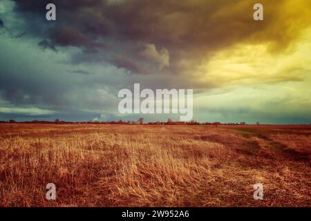 Das Bild zeigt ein riesiges Feld mit trockenem Gras unter einem dramatischen Himmel voller dunkler Wolken, was auf einen herannahenden Sturm hinweist. Stockfoto