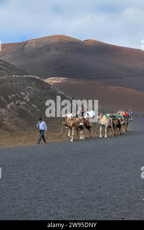 Touristen, die Kamelreiten durch den Timanfaya Nationalpark, Kanarische Inseln, auch bekannt als Parque Nacional de Timanfaya Stockfoto