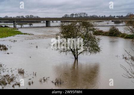 Hochwasser an der Ruhr, nach tagelangen, starken Regenfälle führt die Ruhr Hochwasser, Warnstufe 2 von 3, hier Bereiche unterhalb der Autobahn A40 zwischen Duisburg, Mülheim und Oberhausen, NRW, Deutschland, Hochwasser Ruhr *** Hochwasser am Ruhr, nach Tagen Starkregen ist das Ruhr überschwemmt, Warnstufe 2 von 3, hier Gebiete unterhalb der Autobahn A40 zwischen Duisburg, Mülheim und Oberhausen, NRW, Deutschland, Ruhrhochwasser Stockfoto