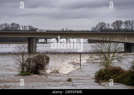 Hochwasser an der Ruhr, nach tagelangen, starken Regenfälle führt die Ruhr Hochwasser, Warnstufe 2 von 3, hier Bereiche unterhalb der Autobahn A40 zwischen Duisburg, Mülheim und Oberhausen, NRW, Deutschland, Hochwasser Ruhr *** Hochwasser am Ruhr, nach Tagen Starkregen ist das Ruhr überschwemmt, Warnstufe 2 von 3, hier Gebiete unterhalb der Autobahn A40 zwischen Duisburg, Mülheim und Oberhausen, NRW, Deutschland, Ruhrhochwasser Stockfoto