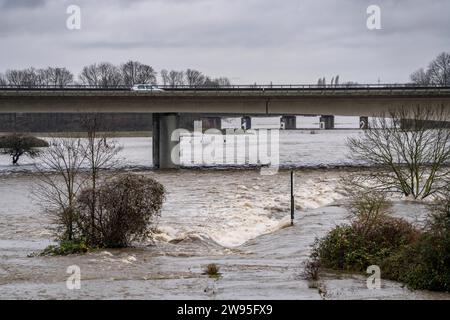 Hochwasser an der Ruhr, nach tagelangen, starken Regenfälle führt die Ruhr Hochwasser, Warnstufe 2 von 3, hier Bereiche unterhalb der Autobahn A40 zwischen Duisburg, Mülheim und Oberhausen, NRW, Deutschland, Hochwasser Ruhr *** Hochwasser am Ruhr, nach Tagen Starkregen ist das Ruhr überschwemmt, Warnstufe 2 von 3, hier Gebiete unterhalb der Autobahn A40 zwischen Duisburg, Mülheim und Oberhausen, NRW, Deutschland, Ruhrhochwasser Stockfoto