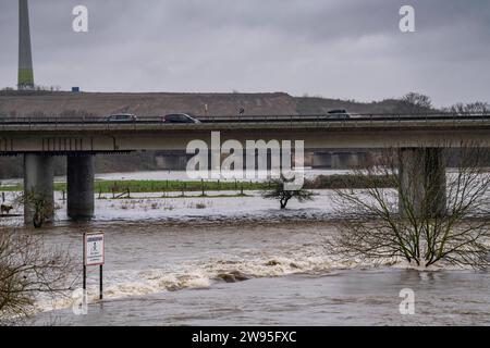 Hochwasser an der Ruhr, nach tagelangen, starken Regenfälle führt die Ruhr Hochwasser, Warnstufe 2 von 3, hier Bereiche unterhalb der Autobahn A40 zwischen Duisburg, Mülheim und Oberhausen, NRW, Deutschland, Hochwasser Ruhr *** Hochwasser am Ruhr, nach Tagen Starkregen ist das Ruhr überschwemmt, Warnstufe 2 von 3, hier Gebiete unterhalb der Autobahn A40 zwischen Duisburg, Mülheim und Oberhausen, NRW, Deutschland, Ruhrhochwasser Stockfoto