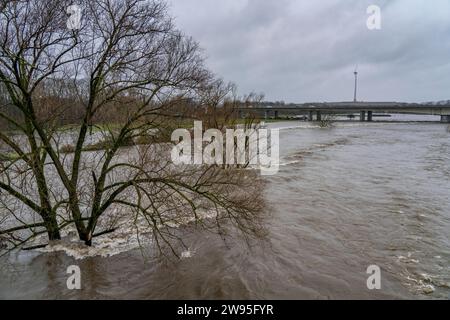 Hochwasser an der Ruhr, nach tagelangen, starken Regenfälle führt die Ruhr Hochwasser, Warnstufe 2 von 3, hier Bereiche unterhalb der Autobahn A40 zwischen Duisburg, Mülheim und Oberhausen, NRW, Deutschland, Hochwasser Ruhr *** Hochwasser am Ruhr, nach Tagen Starkregen ist das Ruhr überschwemmt, Warnstufe 2 von 3, hier Gebiete unterhalb der Autobahn A40 zwischen Duisburg, Mülheim und Oberhausen, NRW, Deutschland, Ruhrhochwasser Stockfoto