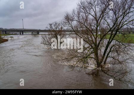 Hochwasser an der Ruhr, nach tagelangen, starken Regenfälle führt die Ruhr Hochwasser, Warnstufe 2 von 3, hier Bereiche unterhalb der Autobahn A40 zwischen Duisburg, Mülheim und Oberhausen, NRW, Deutschland, Hochwasser Ruhr *** Hochwasser am Ruhr, nach Tagen Starkregen ist das Ruhr überschwemmt, Warnstufe 2 von 3, hier Gebiete unterhalb der Autobahn A40 zwischen Duisburg, Mülheim und Oberhausen, NRW, Deutschland, Ruhrhochwasser Stockfoto