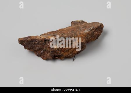 Pin in rostigem Holzfragment aus dem Wrack der Ostindianer Hollandia, Anonym, 1700 - in oder vor 1743 Pin, Werkzeuge und Instrumente, Nähen und Segeln, Pin; betoniert, ID NG 1979-434H. Niederlande Kupfer (Metall). Holz (pflanzliches Material) an zweiter Stelle Stockfoto