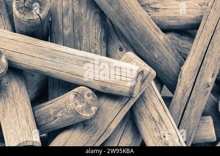 Die Baumstämme bieten mit ihrer strukturierten Oberfläche ein interessantes Material für verschiedene Anwendungen. Stockfoto