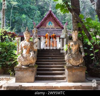 Chiang Mai, Thailand - 10. Dezember 2022: Mönche stehen am Wat Pha Lat Tempel auf dem Mönchsweg in Chiang Mai. Stockfoto