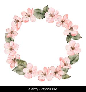 Kranz aus Aquarellblumen. Kirschblüte, blühende Sakura, Frühlingsapfel-Clipart. Handgezeichnete blühende Blumenabbildung für Packung, Karte Stockfoto