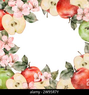 Aquarellblühende Äste des Apfelbaums, Rahmen für grüne und rote reife Äpfel. Handgezeichnete Apfelscheiben Illustration für Saftpackung, Karte, Einladung, Tags Stockfoto