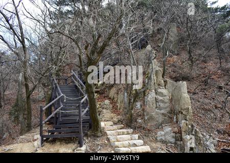 Eine Holztreppe führt auf einem Wanderweg im Bukhansan-Nationalpark einen Berg hinauf Stockfoto