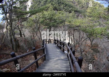 Eine Holztreppe führt auf einem Wanderweg im Bukhansan-Nationalpark einen Berg hinauf Stockfoto