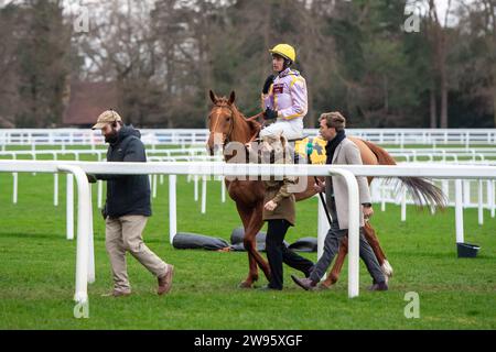 Ascot, Großbritannien. Dezember 2023. Horse Luccia (GB), geritten von Jockey Paul O'Brien, gewinnt am zweiten Tag des Howden Christmas Racing Weekend die Betfair Exchange Trophy auf der Ascot Racecourse. Eigentümer, Züchter und Sponsor, Pump & Plant Services Ltd Trainer Nicky Henderson, Lambourn. Quelle: Maureen McLean/Alamy Live News Stockfoto