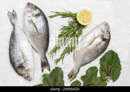 Roher Fisch mit Zitrone, Rosmarinzweigen und Mangold-Blättern. Weißer Hintergrund. Flache Lagen Stockfoto