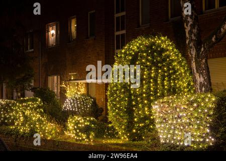 Weihnachtsbeleuchtung in Köln an einem Winterabend Stockfoto