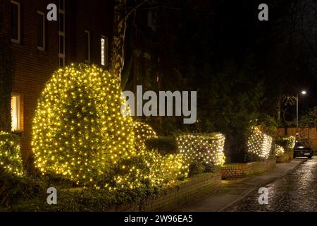 Weihnachtsbeleuchtung in Köln an einem Winterabend Stockfoto