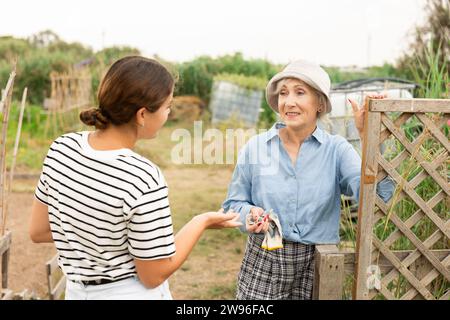 Junge und ältere Frau, die sich in der Nähe des Zauns auf der Gemeindefarm unterhalten. Teamarbeit in der Agrarwirtschaft. Stockfoto